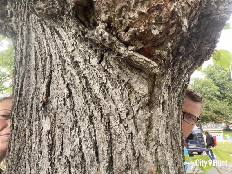 myCityHunt Tour a Piedi 6