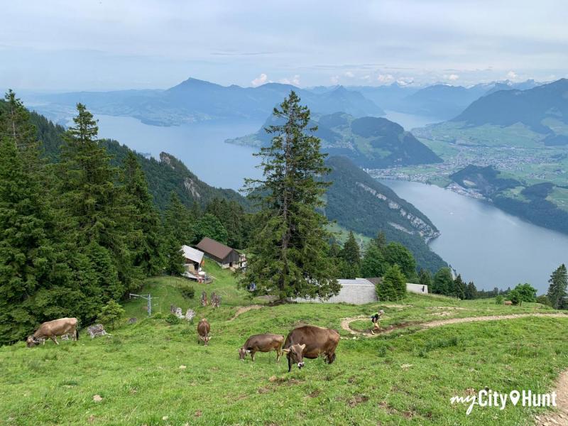 myCityHunt Tour a Piedi 1