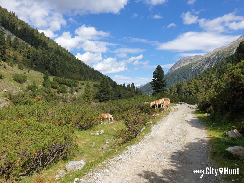 myCityHunt Tour a Piedi 2