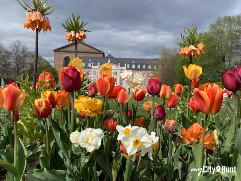 myCityHunt Tour a Piedi 15