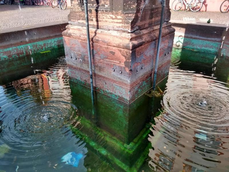 myCityHunt Tour a Piedi 6