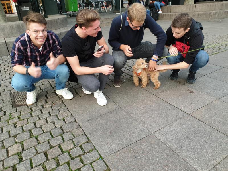 myCityHunt Tour a Piedi 10