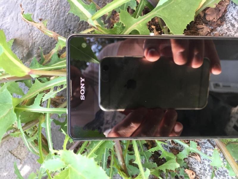 myCityHunt Tour a Piedi 6