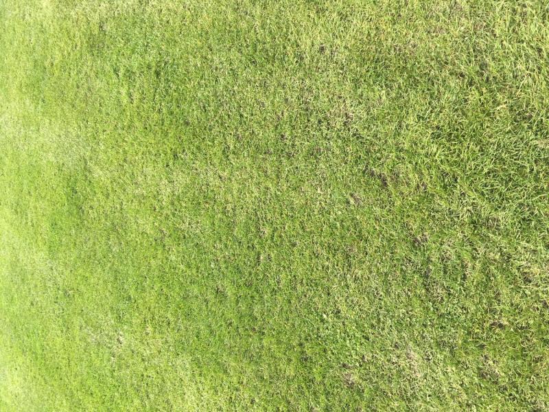 myCityHunt Tour a Piedi 2